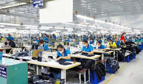 東莞電子廠外遷越南，工人失業困境與網絡技術服務解決方案